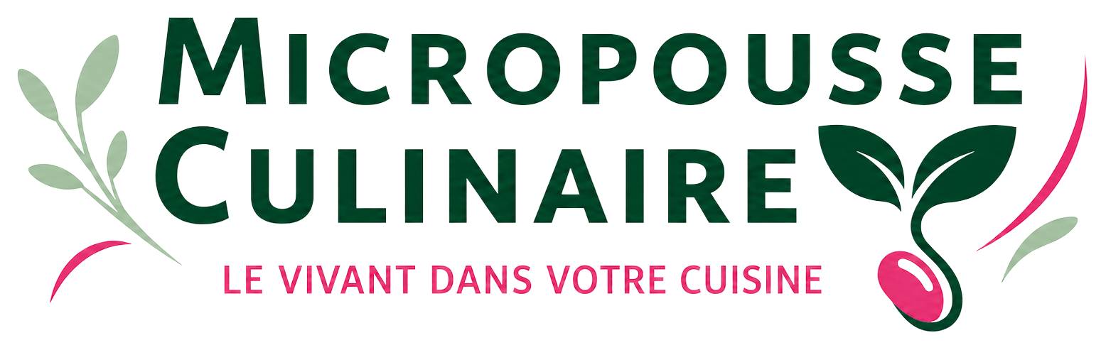 Logo mmc final transparent