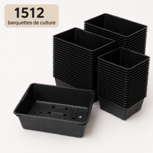 1512 barquettes