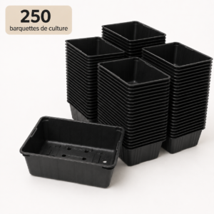 250 barquettes