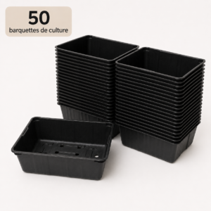 50 barquettes