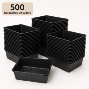 500 barquettes