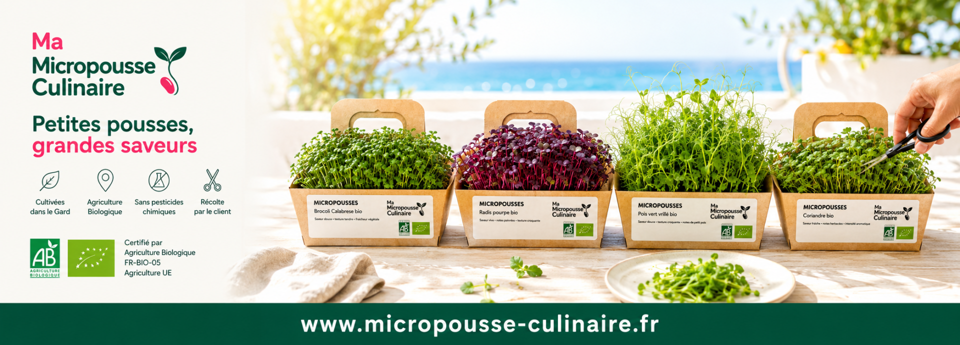 Ma Micropousse Culinaire — micropousses bio vivantes cultivées dans le Gard